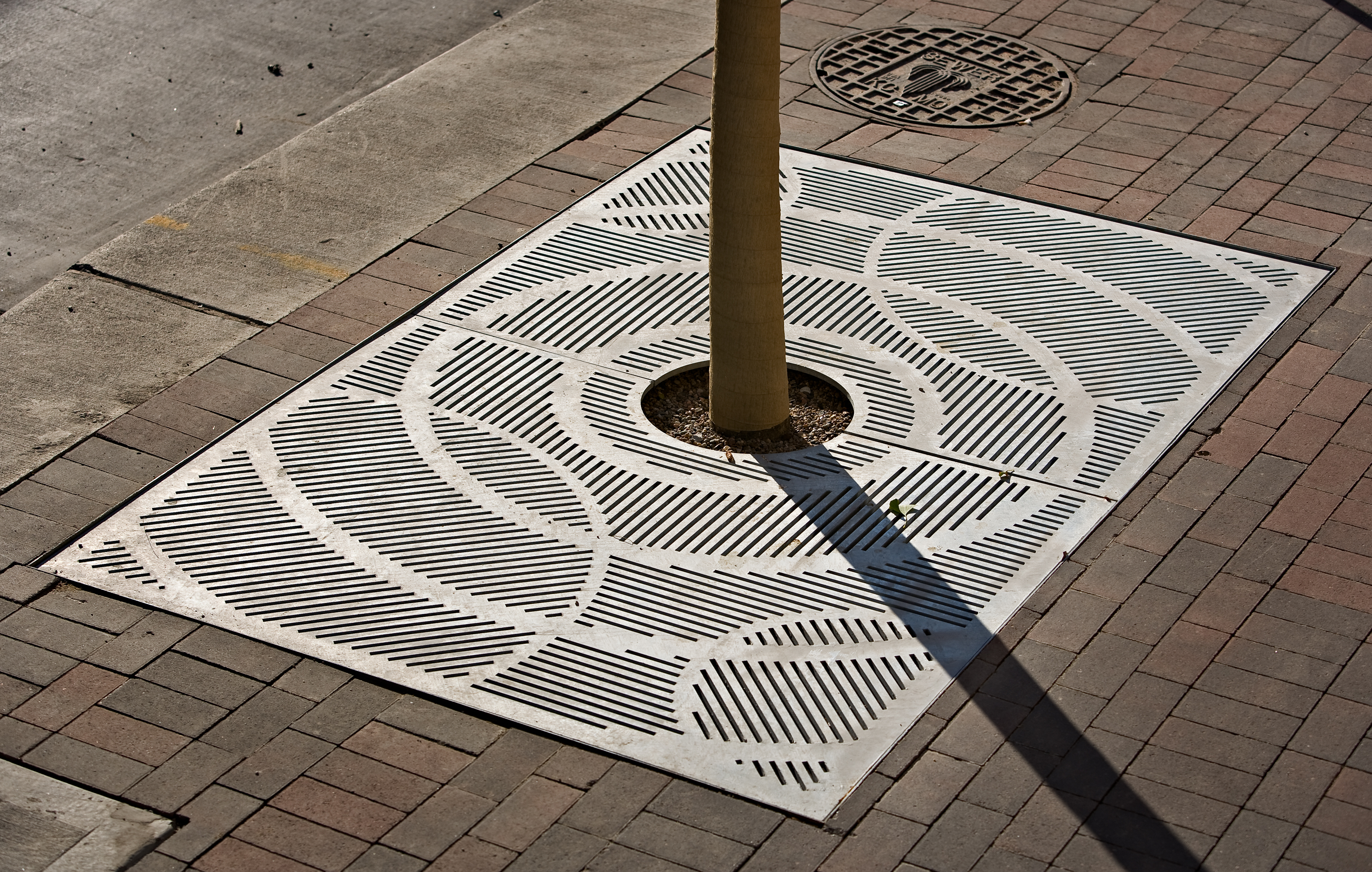 Detail of the Young+Dring tree surrounds for the Power & Light District