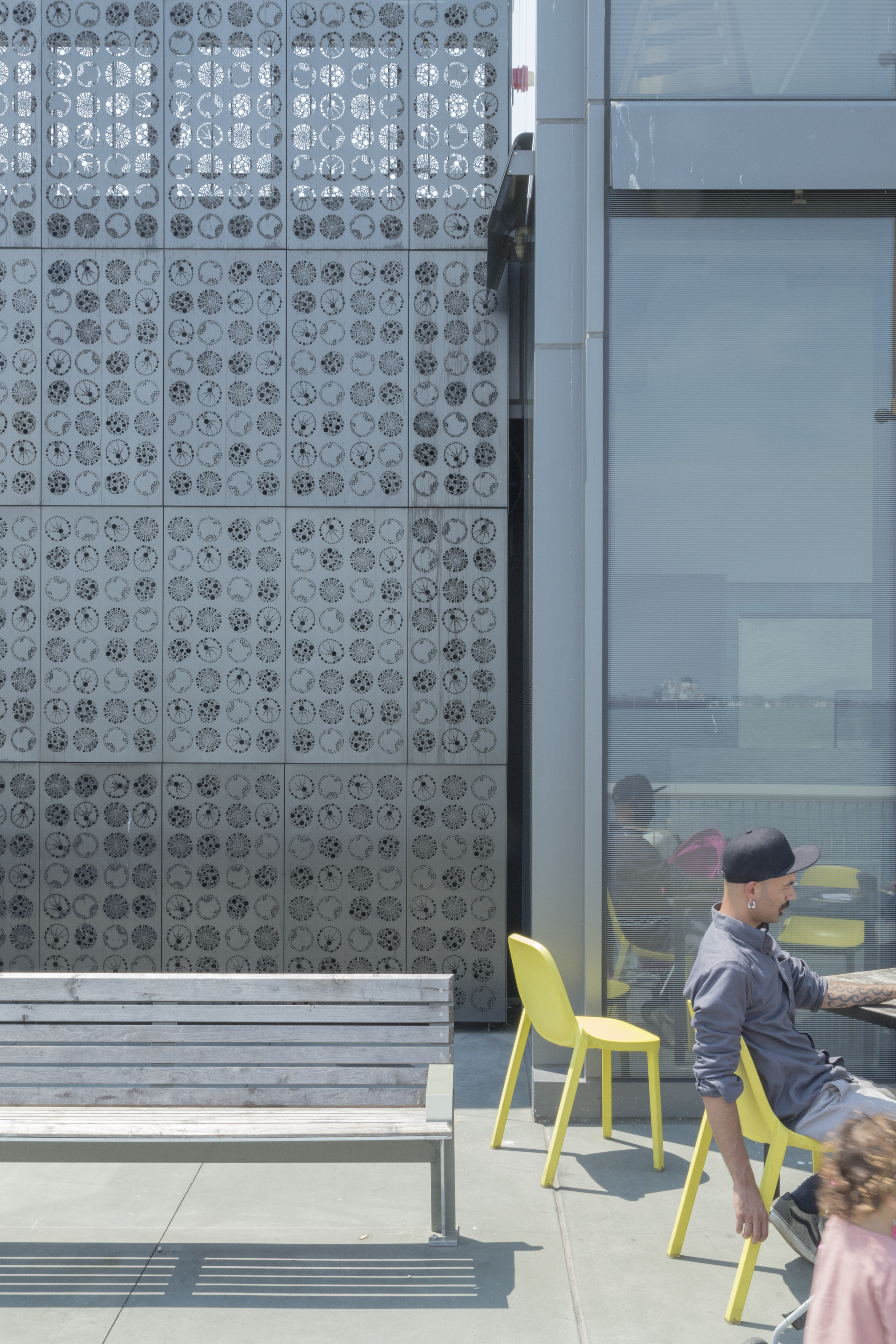 Photo of the Plankton Wall at the Exploratorium.