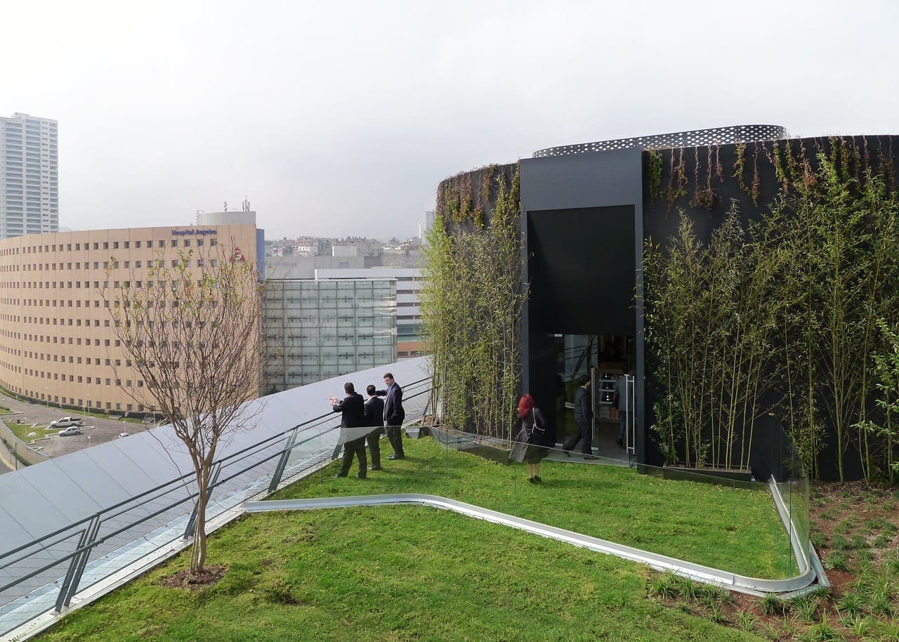 Liverpool Interlomas Rooftop Garden.